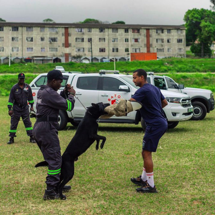 Baton Security Services